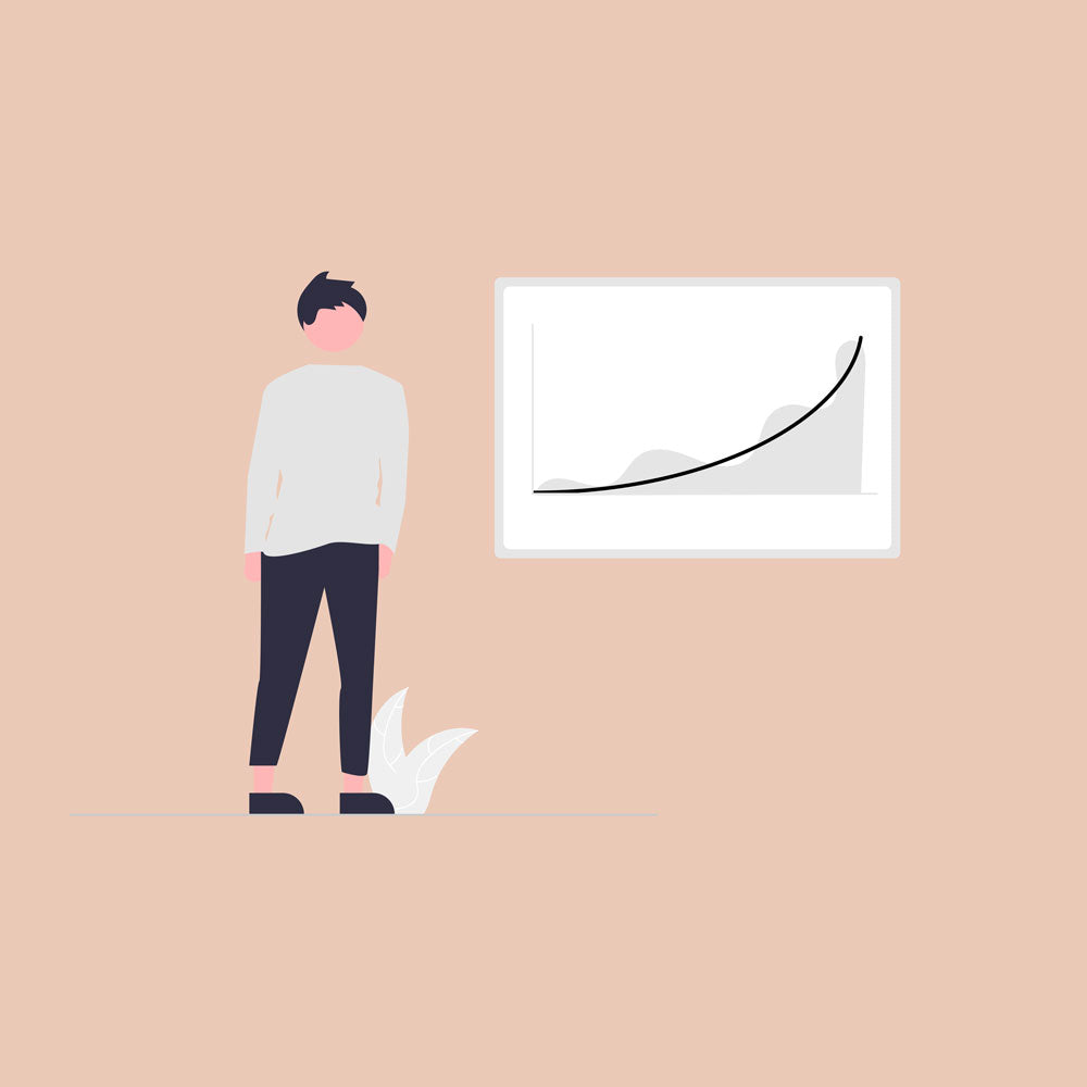 Maximizing Your ROI: The Impact of Page Speed on Your Shopify Store's Success